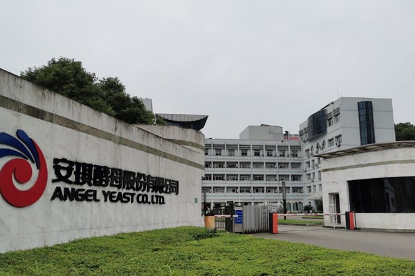 1640931252173447.jpg 安琪酵母-min.jpg